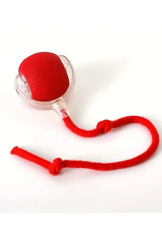 Palla Intelligente Gatto