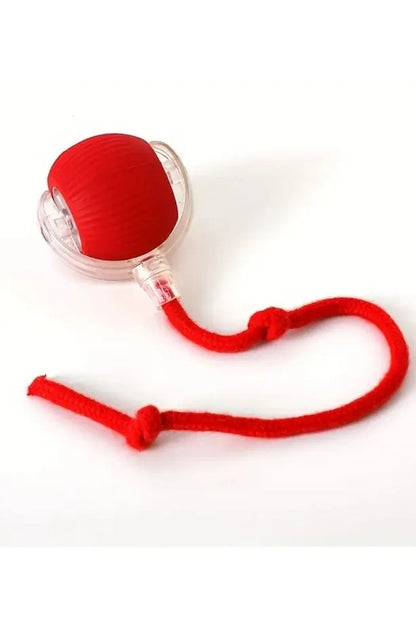 Palla Intelligente Gatto