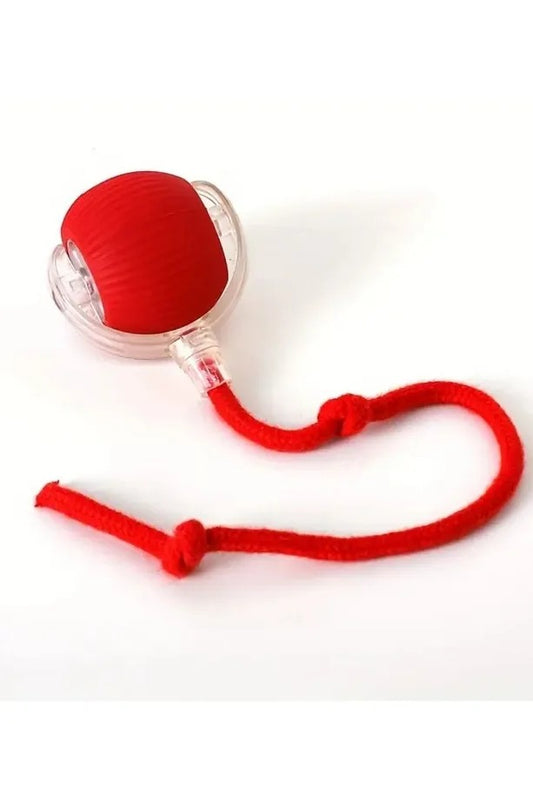 Palla Intelligente Gatto