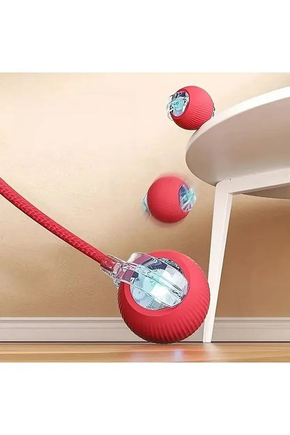 Palla Intelligente Gatto