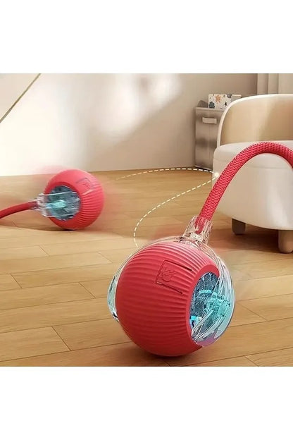 Palla Intelligente Gatto